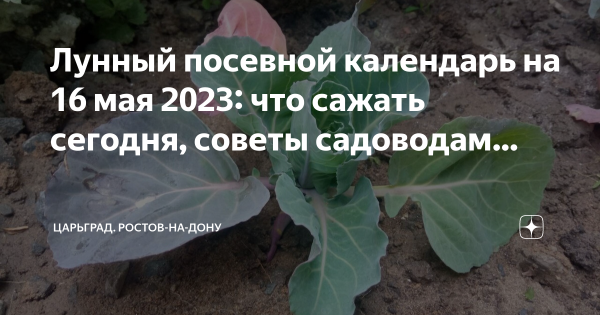 Лунный посевной календарь на май 2023. Лунный посевной календарь на май 2023 для огородника. Календарь посадок май 2023 лунный. Благоприятные дни для посадки в мае 2023.