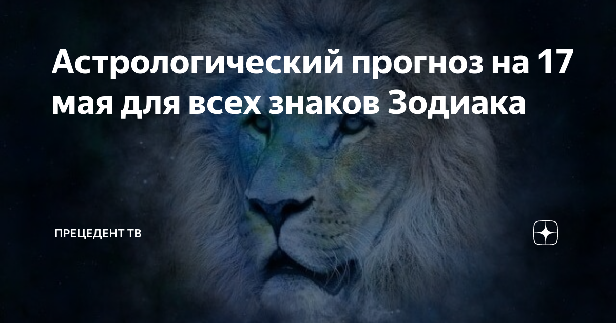 Красивый лев. Лев с закрытыми глазами. Как обижается лев. Лев не обижается. Льва нельзя обижать.
