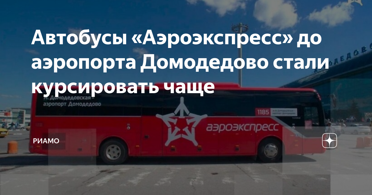 Экспресс автобус до домодедово. Автобус аэроэкспресс в домодедово. новые автобусы. туристический автобус.
