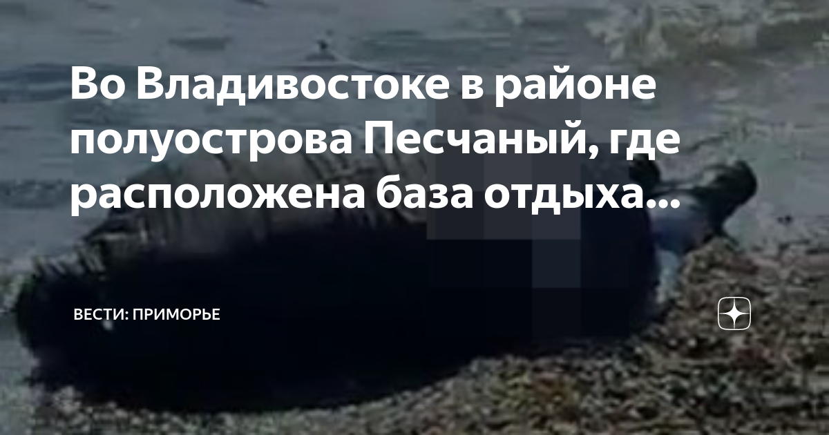 Текст там нет меня где на песке. Полуостров песчаный Владивосток. Полуостров песчаный Владивосток карта. Полуостров песчаный выбросила касатку на берег.