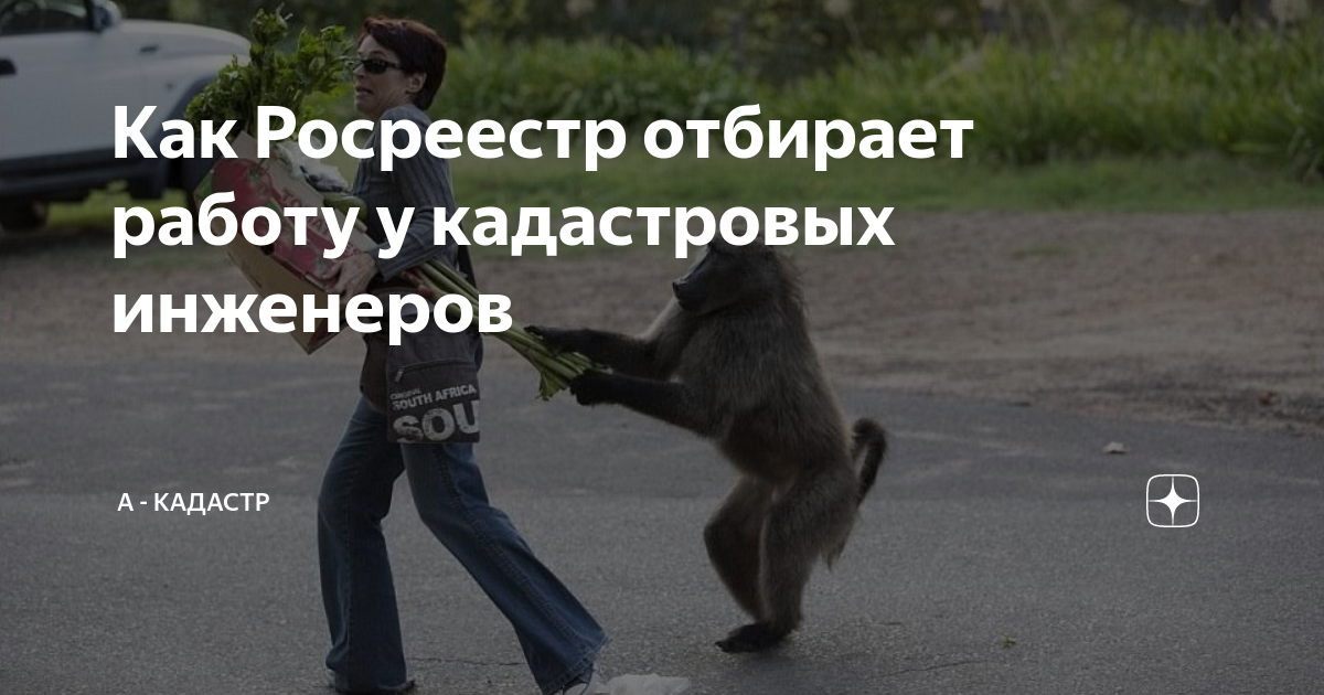 Как Росреестр отбирает работу у кадастровых инженеров | А - Кадастр | Дзен