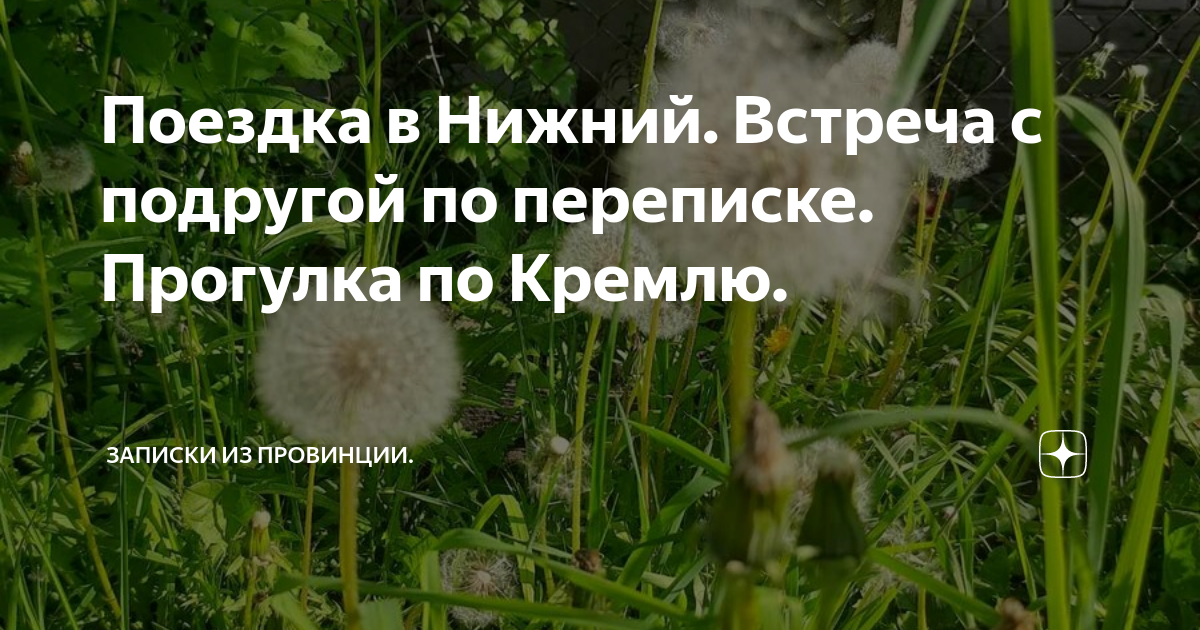 Т радожицкого. Дневник похода. Записки из провинции. Письма из провинции. Сойкин п п природа и люди.