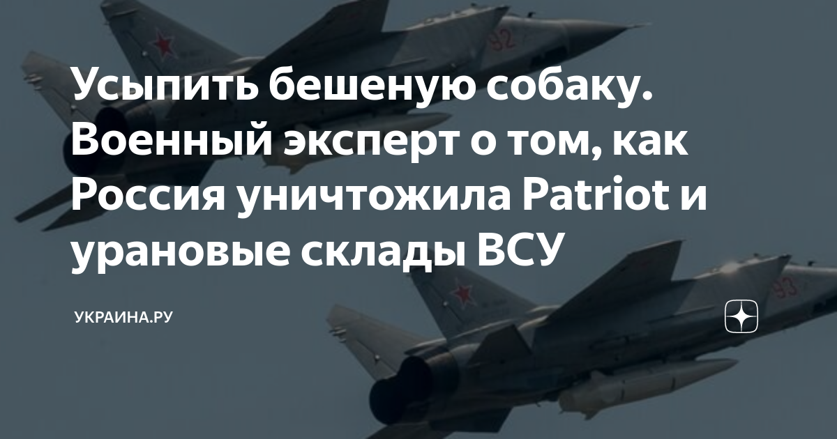 Усыпить бешеную собаку. Военный эксперт о том, как Россия уничтожила ...