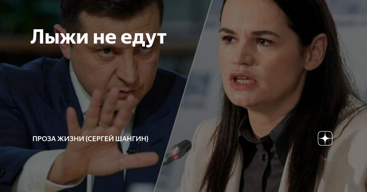 проза жизни шангин