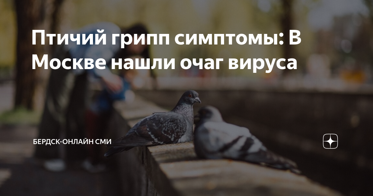 Птичий грипп симптомы: В Москве нашли очаг вируса | Тренды Эры | Дзен
