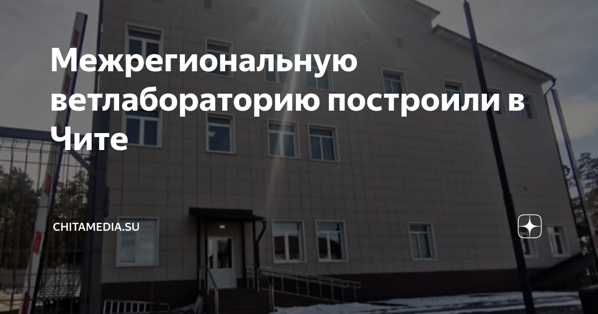 Сухая падь 11 чита Сухая падь 11 чита
