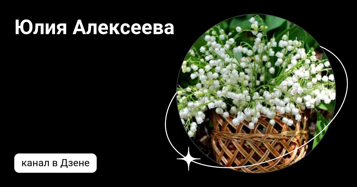 Юлия Алексеева | Дзен