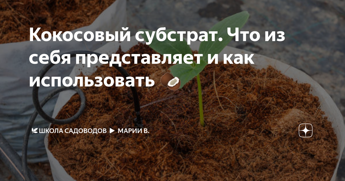 как использовать кокосовый субстрат