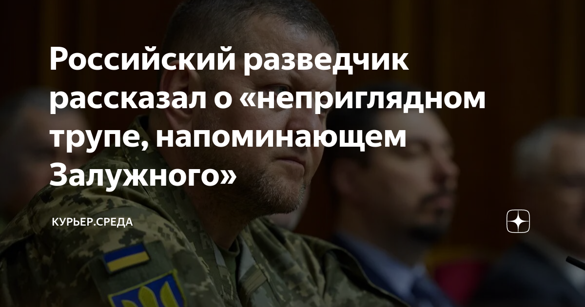 что сказал залужный