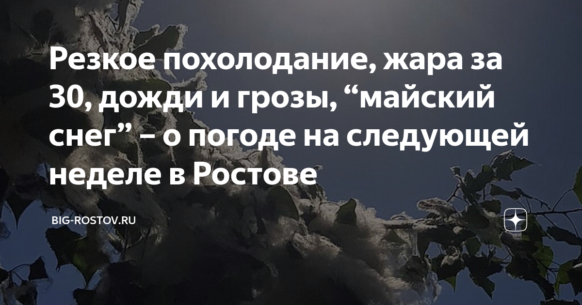 Кто написал песню тополиный пух жара июль фото автора