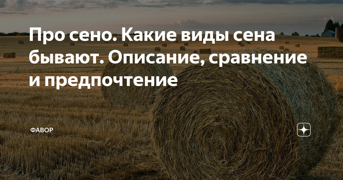 Сено какое число. Загадка про сено. Сено Ванга про сена. Стихи про сено. Сена виде ролика это.