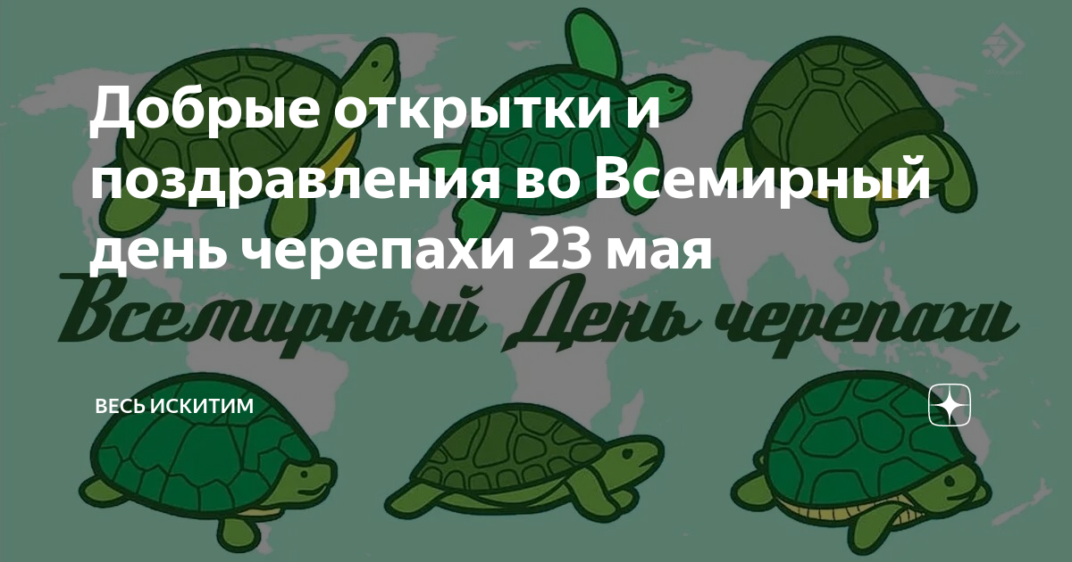 Всемирный день черепахи картинки прикольные. Всемирный день черепахи открытка.