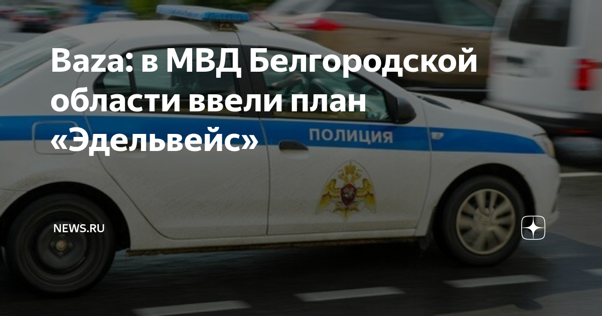 План эдельвейс мвд это