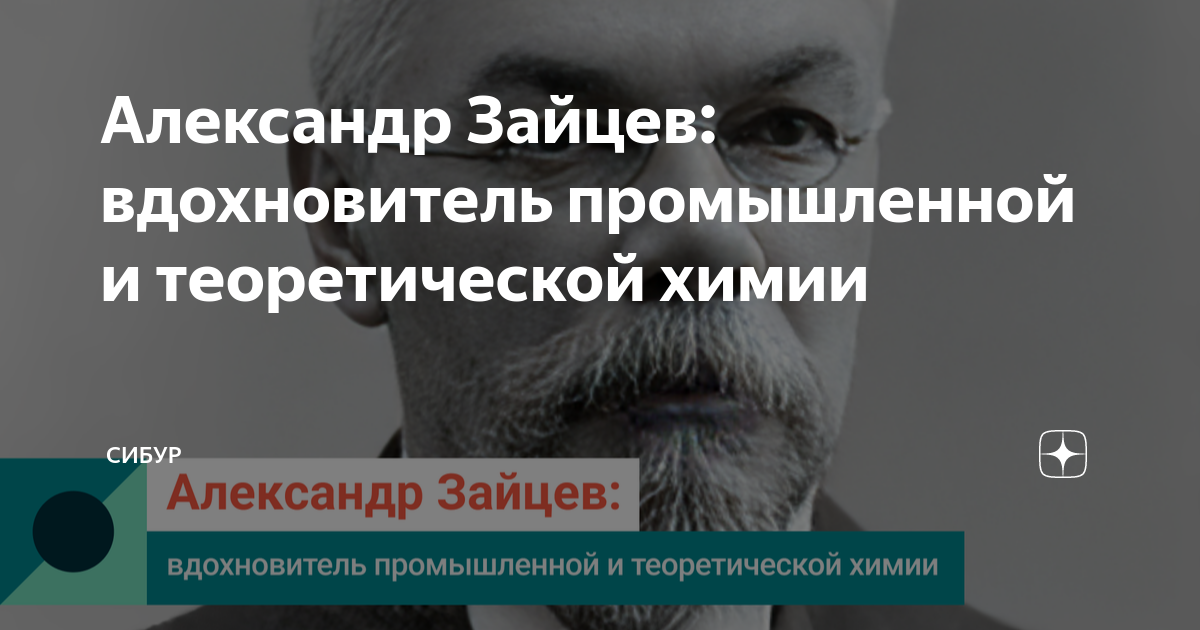зайцев максим алексеевич