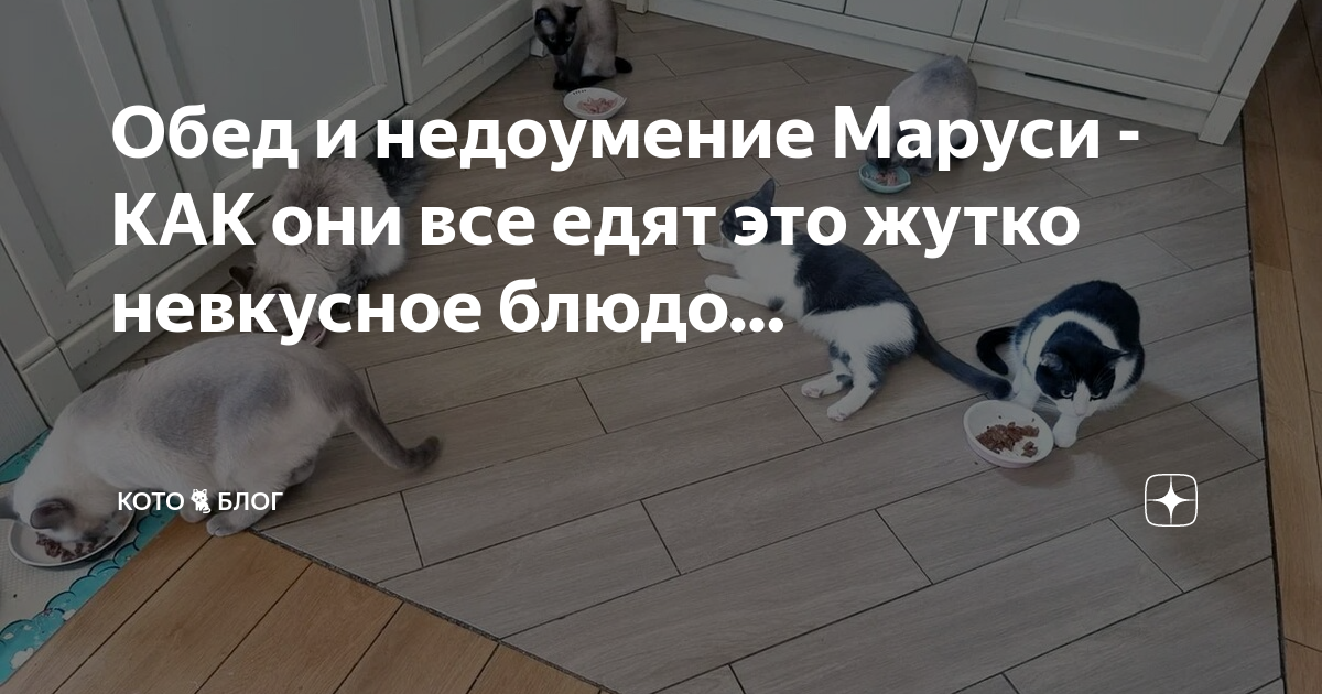Обед и недоумение Маруси - КАК они все едят это жутко невкусное блюдо ...