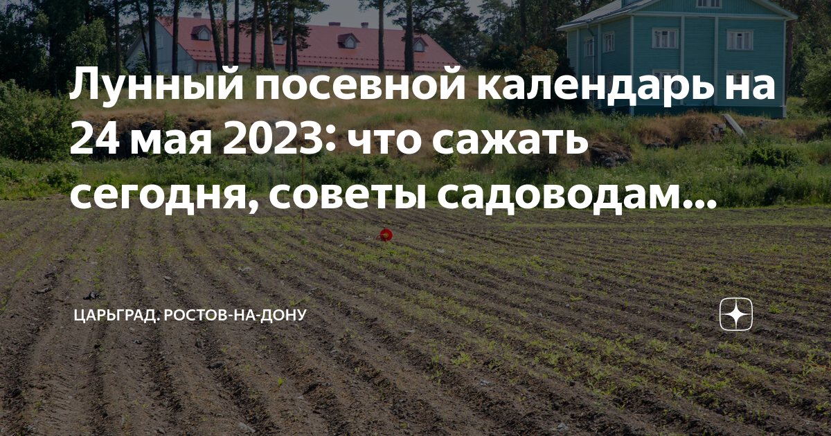 Лунный календарь на ноябрь 2023 года садовода