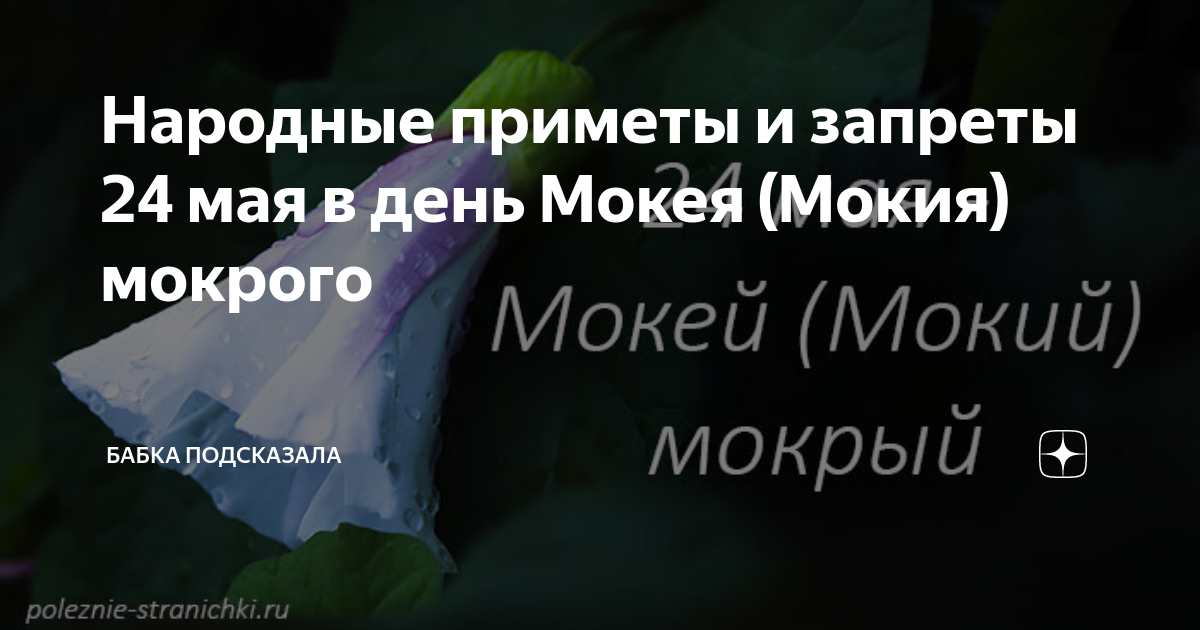 Мокей мокрый 24 мая картинки