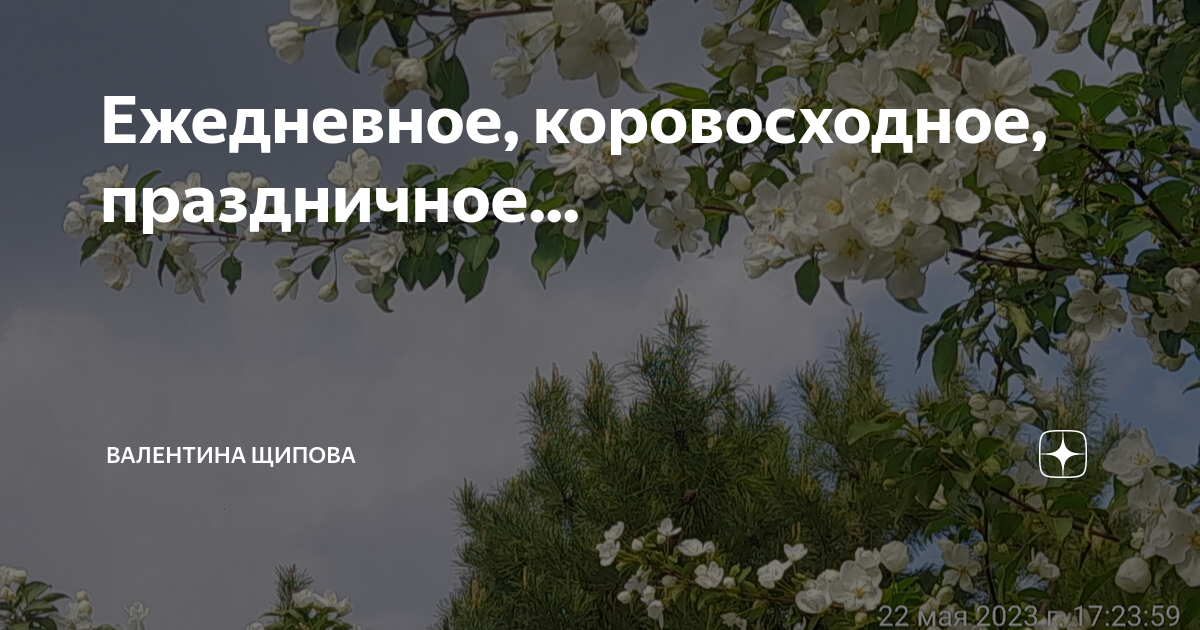 Ежедневное, коровосходное, праздничное... | Валентина Щипова. Веселая ...