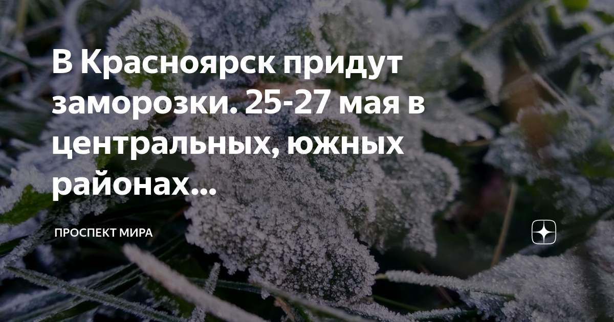 Будут заморозки в Красноярске.