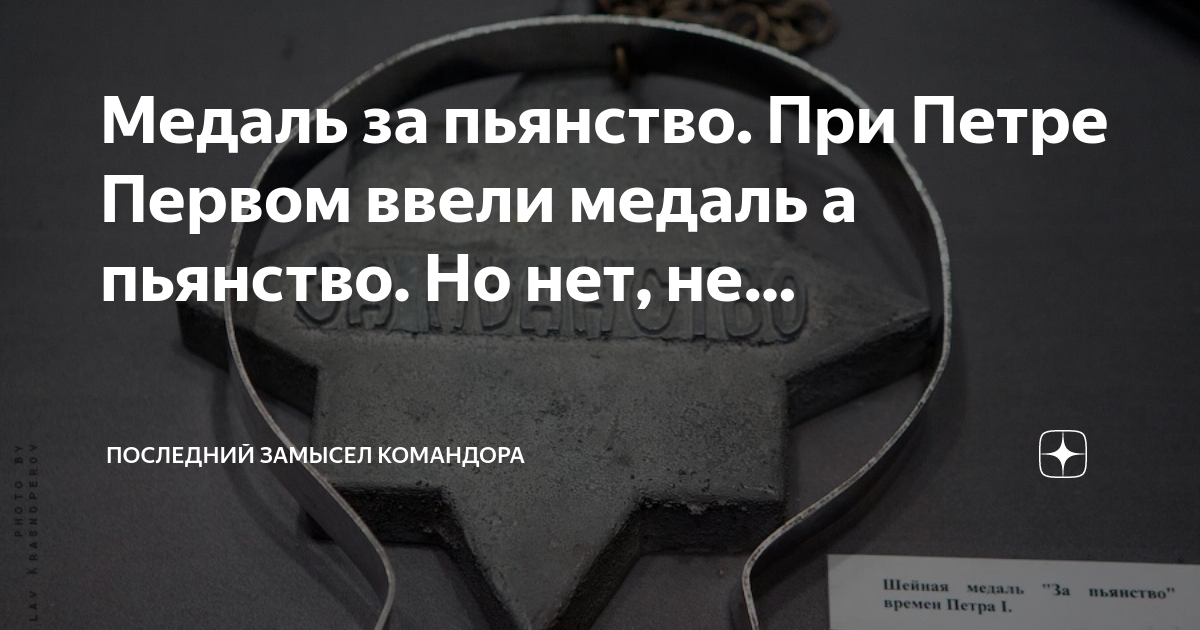 Последний замысел командора дзен читать