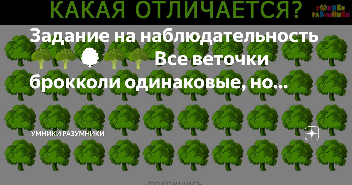 Задание на наблюдательность ?????????? Все веточки брокколи одинаковые, но ...