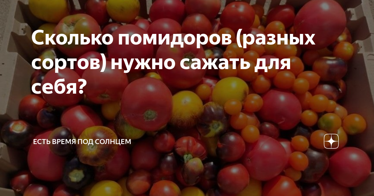 сколько капель йода на ведро воды для помидор