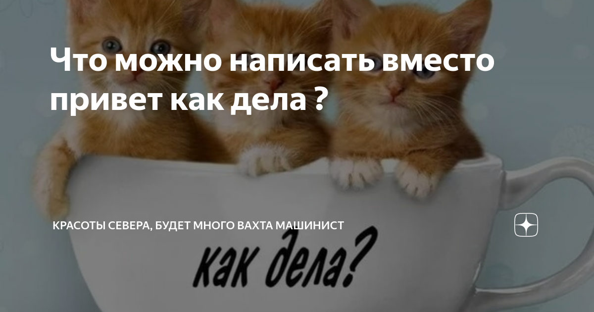 Что сказать вместо как дела. Утро начинается с интернета. Утро начинается с интернета картинки. Но мы то знаем что утро начинается с интернета. Утро наступило с интернета.