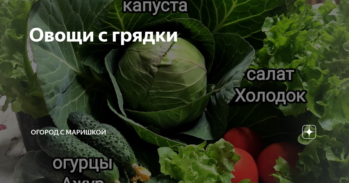 Наша дача овощная грядка