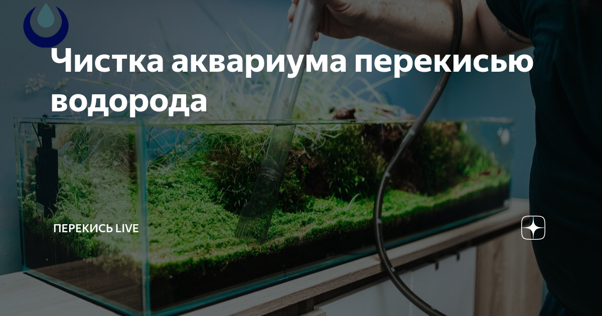 Перекись водорода в аквариумистике [Архив] - Аквафорум - форум акваріумістів та тераріумістів