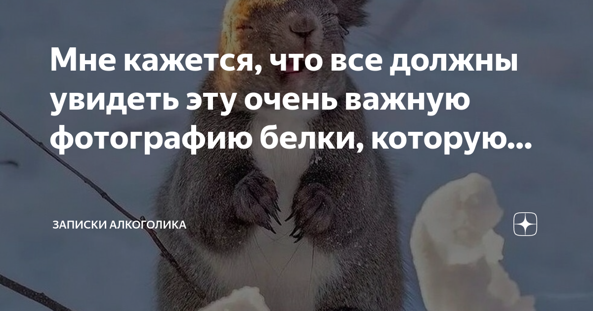 Записки алкоголички дзен. Записки алкоголички дзен. Записки алкоголички дзен. Записки алкоголички дзен. Записки алкоголички дзен.