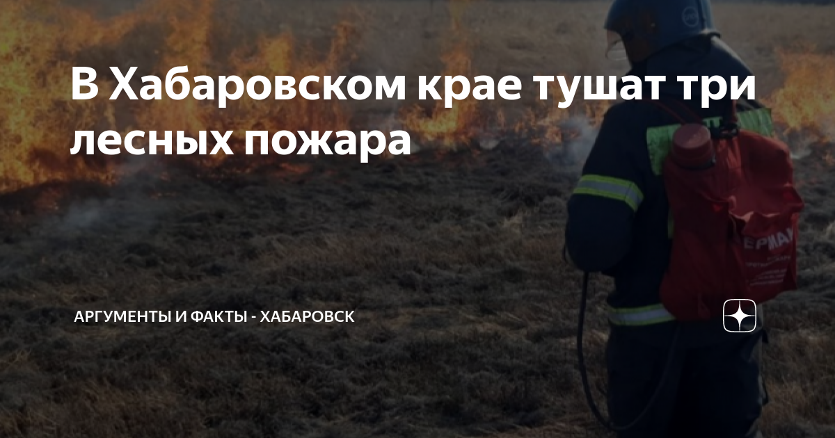 Карта пожаров хабаровского края лесных