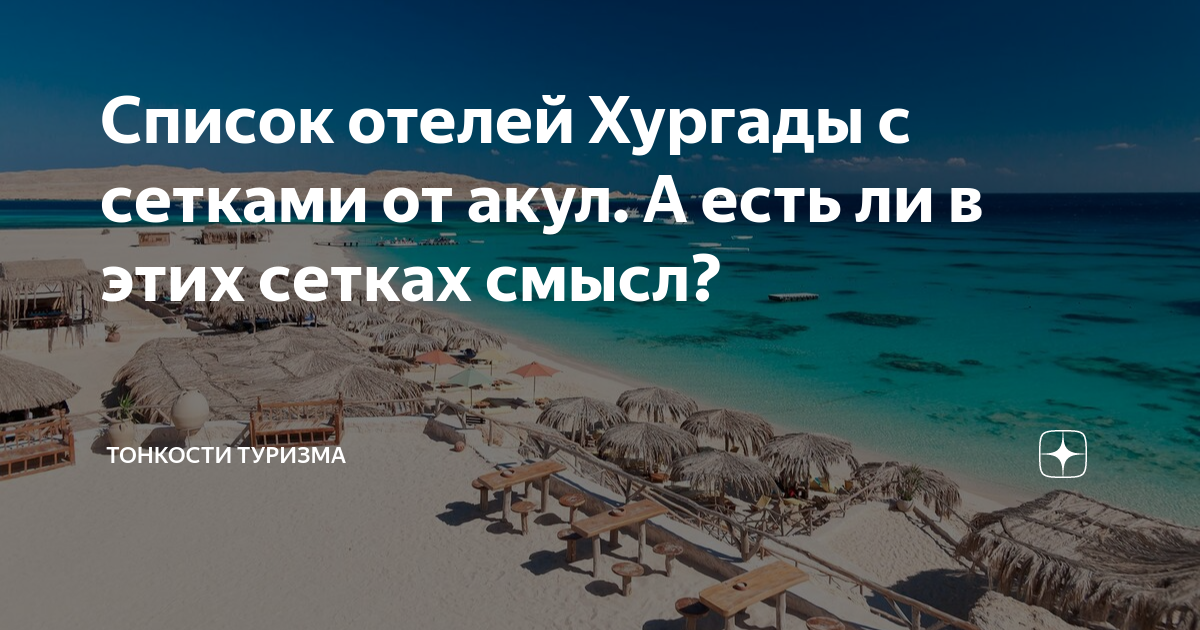Хургада сетка от акул. Нападение акулы в Хургаде 2023.