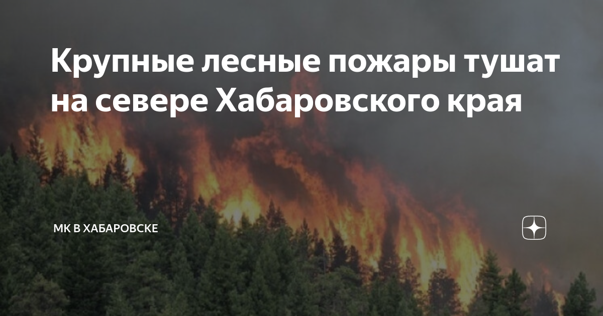 Лесные пожары в хабаровском крае. Карта пожаров Хабаровского края. Тушение лесных пожаров. Природные пожары Хабаровского края на карте. Карта пожаров Хабаровского края на сегодня.