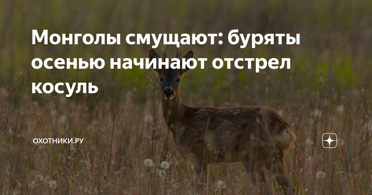 Карта охотника бурятия