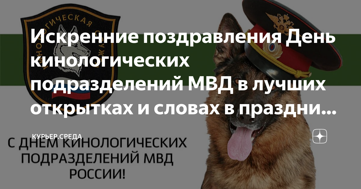 План работы кинологического подразделения мвд на 1 год