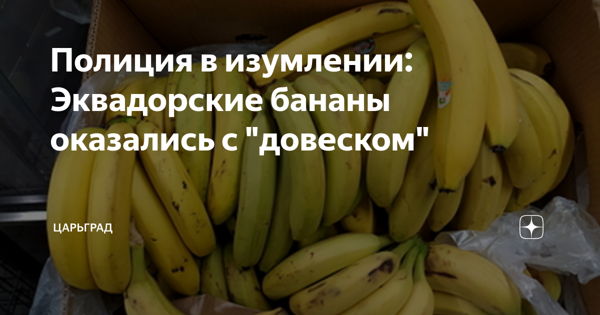 Полиция в изумлении: Эквадорские бананы оказались с "довеском ...