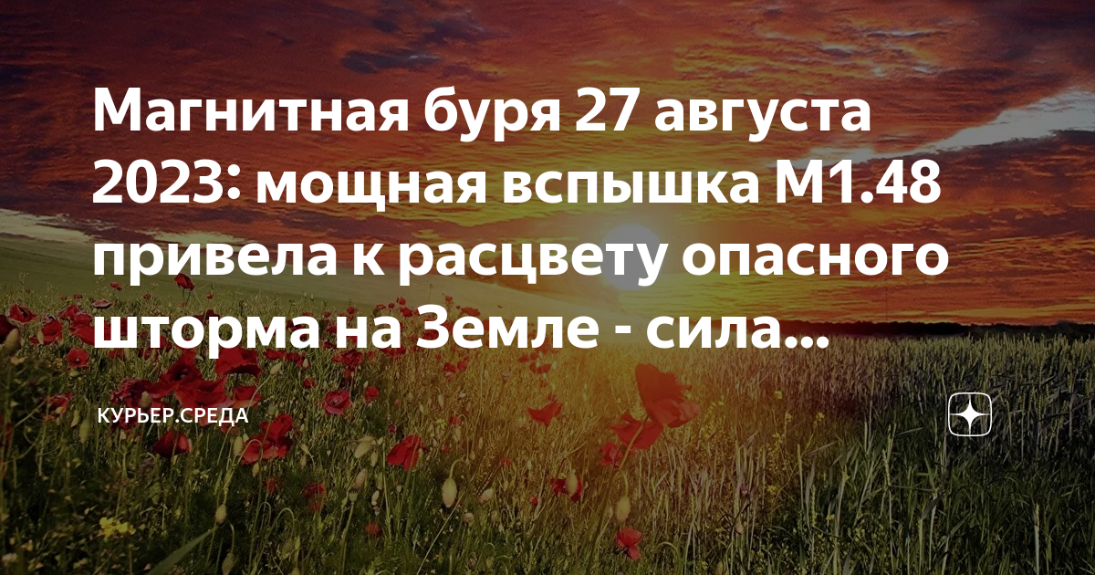 Бури в августе 2024 г