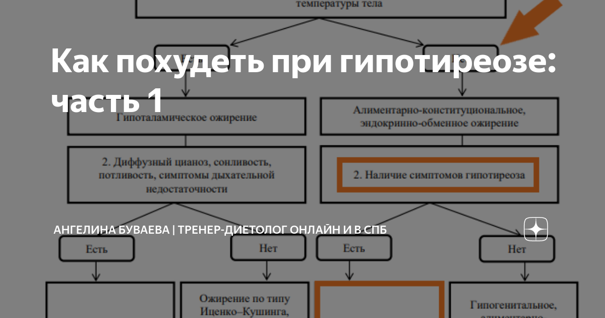 как похудеть при гипотиреозе меню