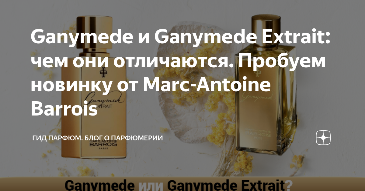 Ganymede и Ganymede Extrait: чем они отличаются. Пробуем новинку от ...