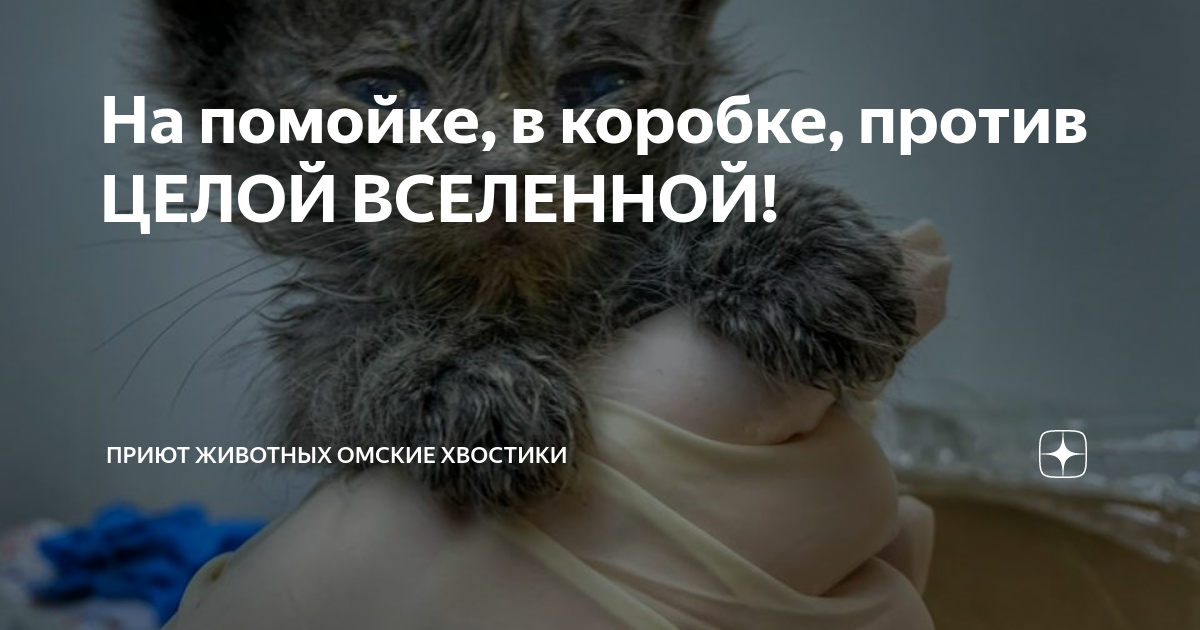 в целом не против. в целом не против. я был один и весь мир был против меня булгаков. в целом не против. не против как пишется правильно.