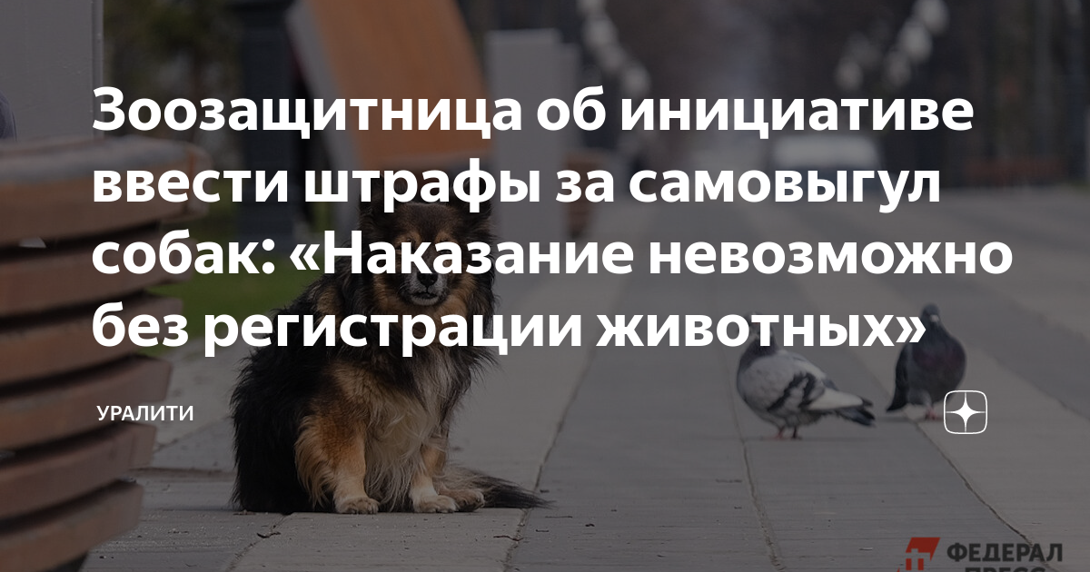 основания расторжения трудового договора схема. особенности инквизиционного процесса. введенные по инициативе. выборный орган первичной профсоюзной организации это. введенные по инициативе.