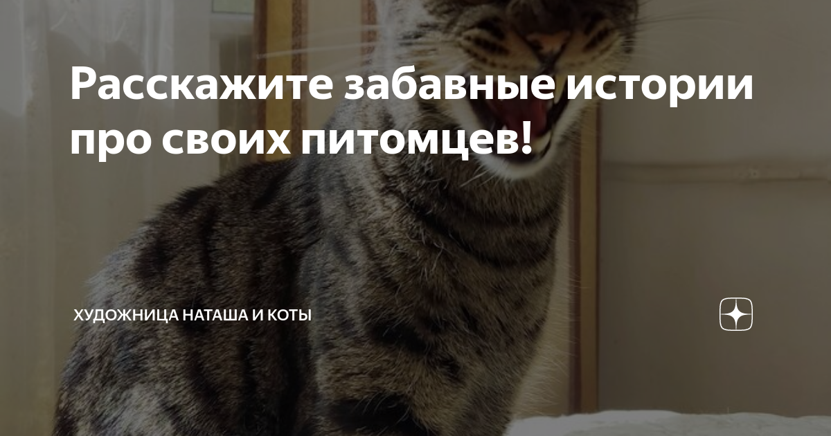 Наташа и коты дзен