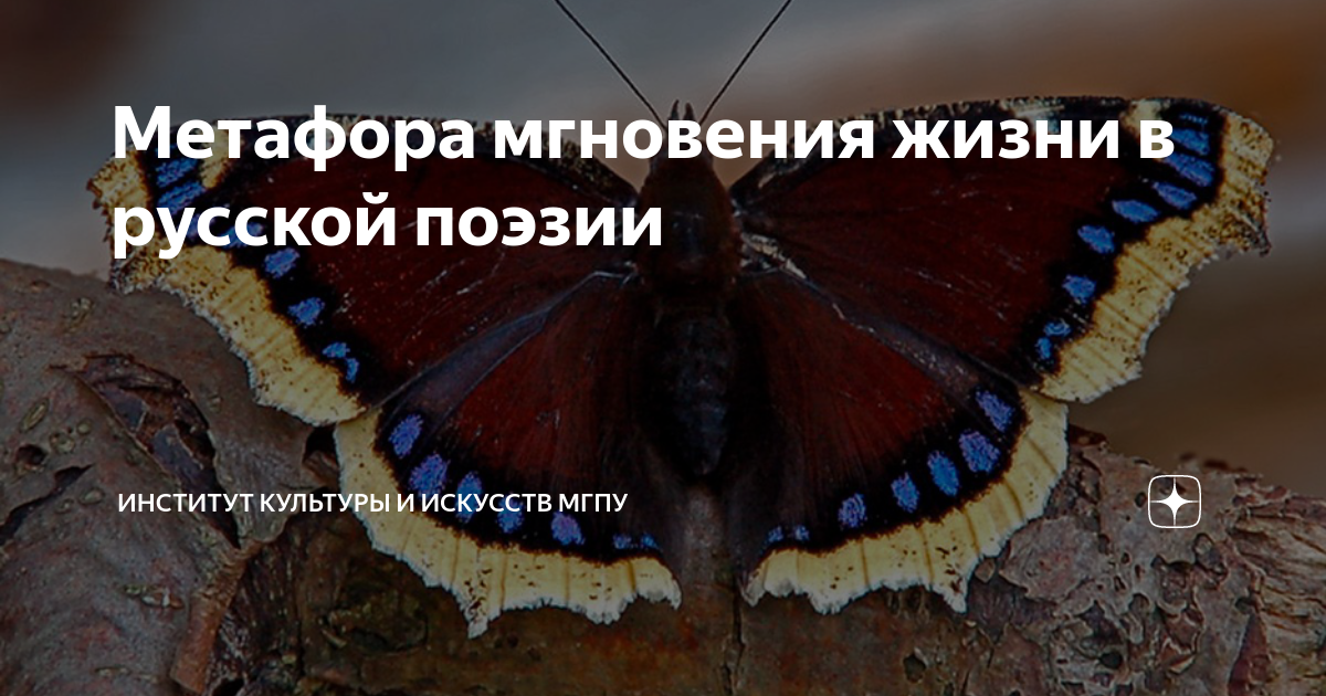 Метафора мгновения жизни в русской поэзии | Институт культуры и ...