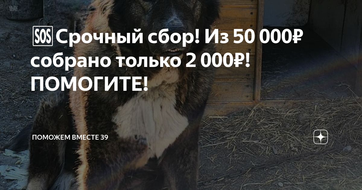 Только не уходи дзен 39