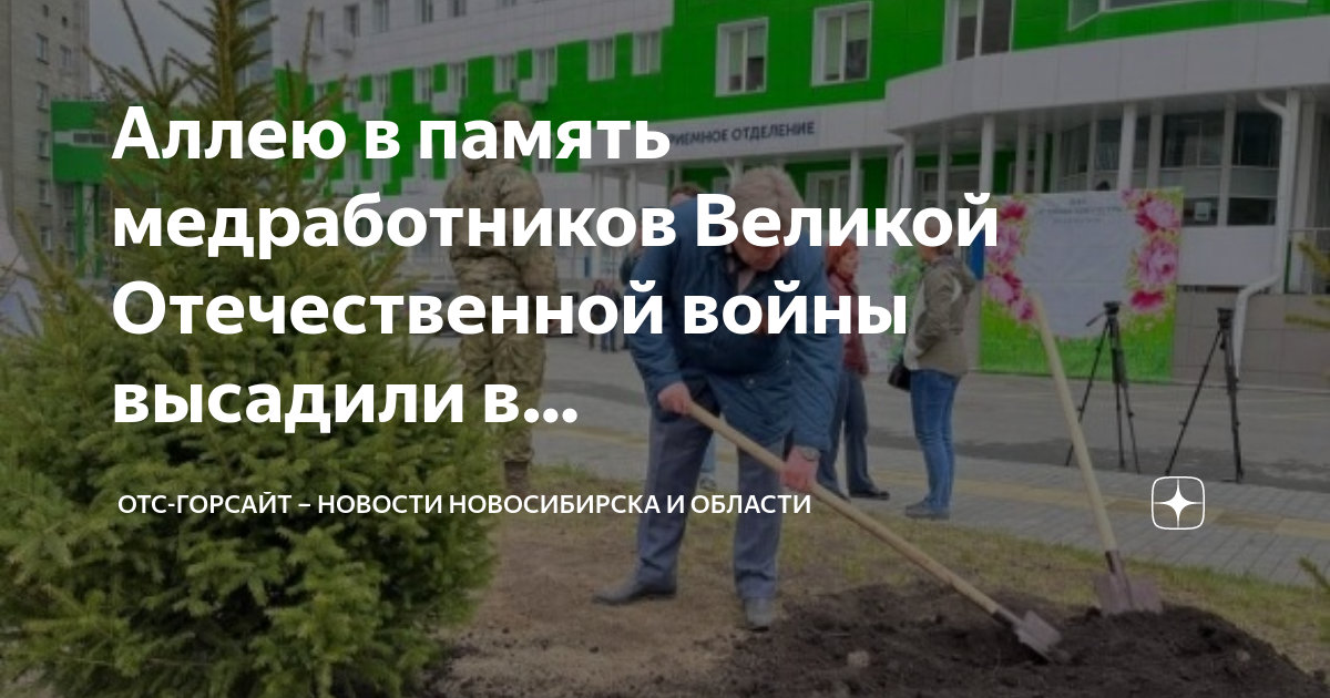 Отс горсайт. Аллея памяти деревья. Акция аллея памяти. Высадка леса. Сад памяти