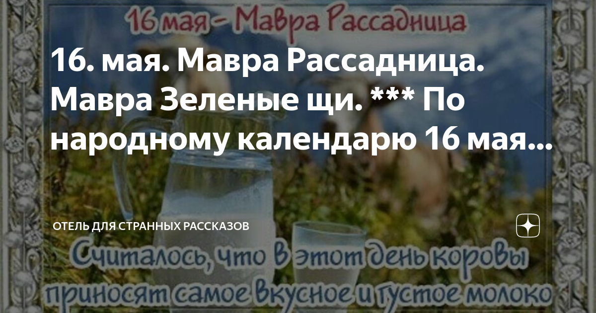 Мавра рассадница 16 мая картинки