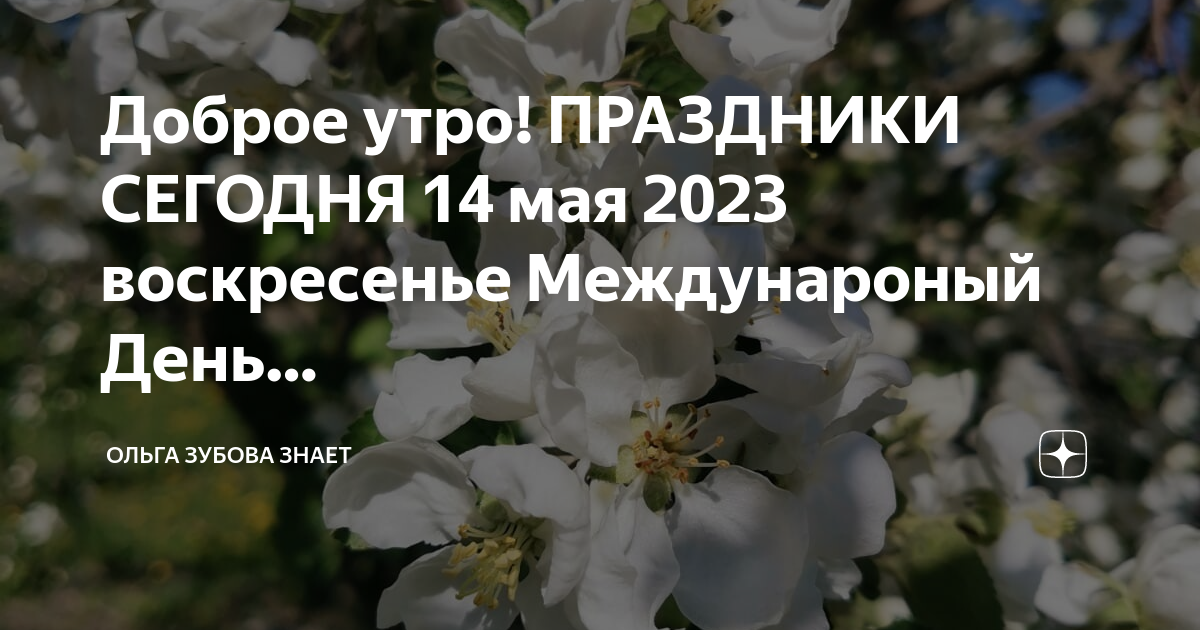 14 мая праздник день материнства. 14 воскресенье. Проповедь в день торжества православия. 14 воскресенье. Изнесение честных древ животворящего креста господня.