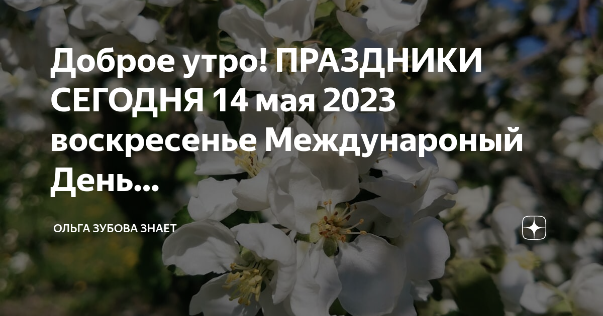 Доброе утро 14 ноября 2023