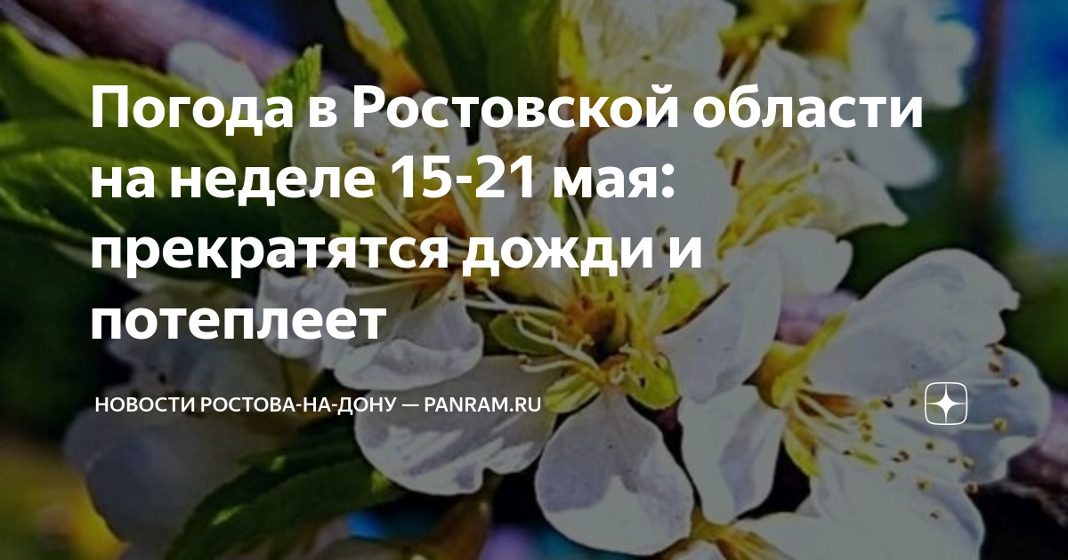 Погода в Ростовской области на неделе 15-21 мая: прекратятся дожди и ...