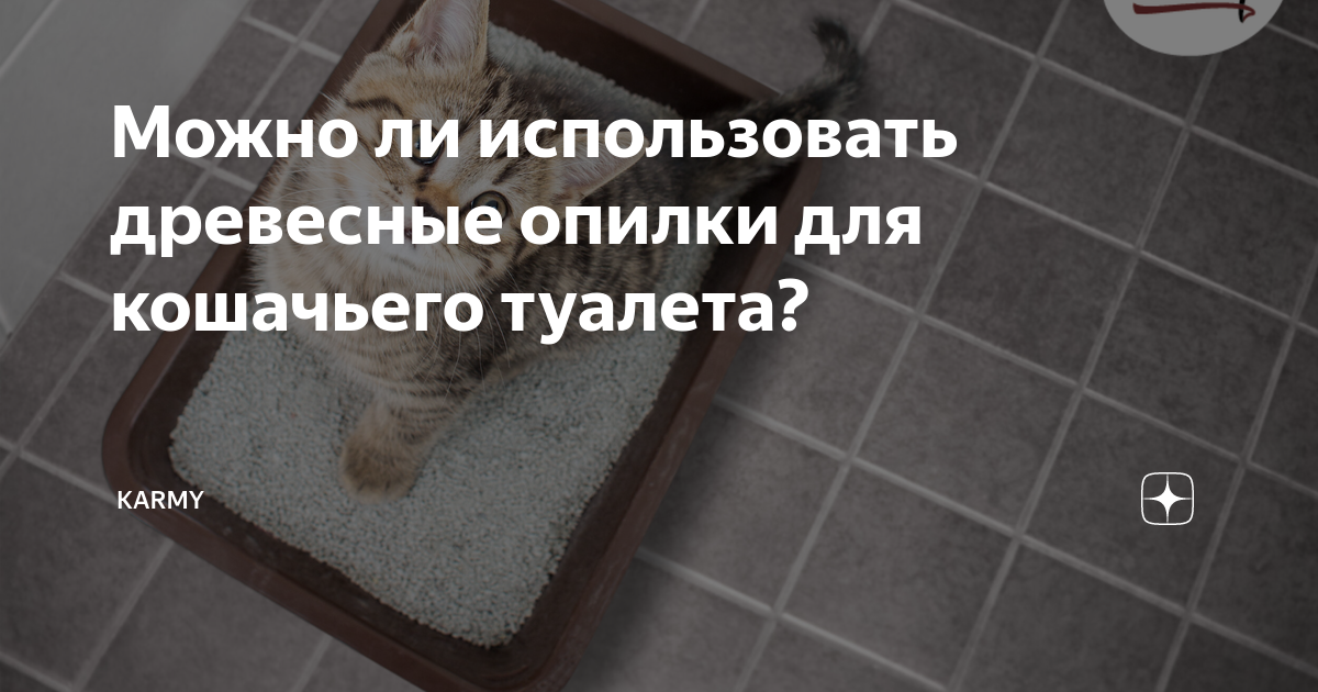 Можно ли использовать древесные опилки для кошачьего туалета? | Karmy ...